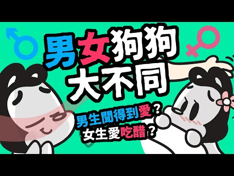 女人爱狗狗
