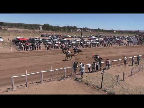 FINOLA Club Hípico "Viento Sur" - Cutral Co 11-12-2022