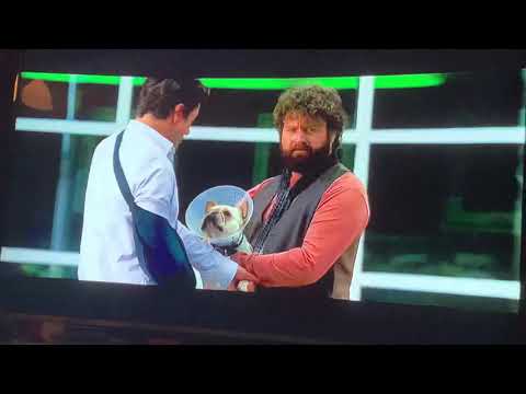 Stichtag - Peter spuckt Sunny an - Du fledermausgesichtiges Stück Scheiße - Szene