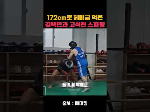 172cm신장으로 국내 헤비급 5연패 김택민선수와 UFC고석현 선수 스파링.. #복싱 #김택민 #김동현 #고석현 #mma #매미킴