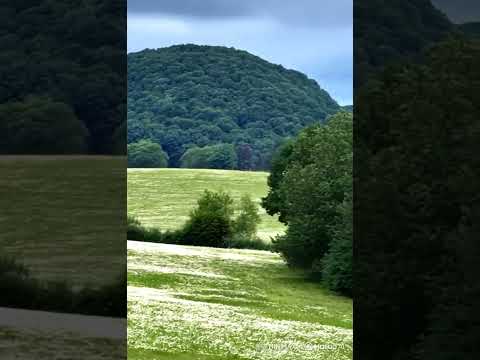 investment land for sale