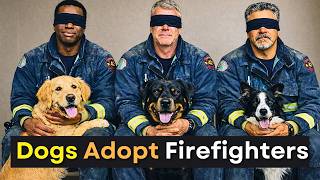 Blindfolded Firefighters Let Shelter Dogs Choose Their Owners And THIS Happened 💔
