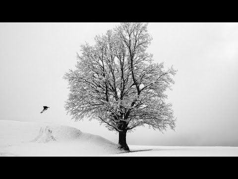 FEELS UNLIMITED | "MINI SHRED" By The Simpson Brothers