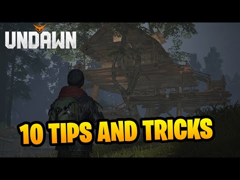 TEN TIPS AND TRICKS FOR UNDAWN!