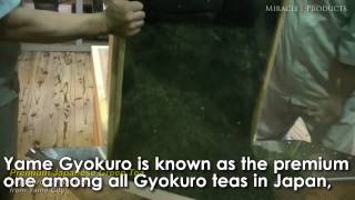 preview picture of video 'Premium Japanese Green Tea Gyokuro from Yame, Japan'