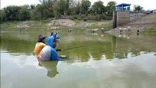 preview picture of video 'Air Waduk Surut!! Mancing Nila pakai lumut jadi gampang, strike terus dapat banyak.. seru banget bro'