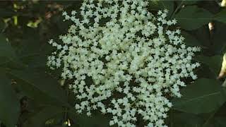 HÍREK A TERMÉSZETBŐL