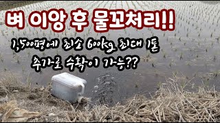벼 재배 이앙 후 아직도 물꼬처리 안 하세요? 수확량이 한평 당 0.4~0.7kg 더 수확이 가능하…