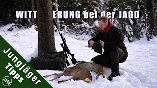 Der Einfluss des Wetters auf der Jagd | Jungjägertipps