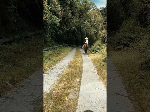 Descubre nuestras rutas personalizadas y vive el turismo rural desde adentro. ¡Síguenos! #colombia