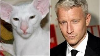 Anderson Cooper Twitter War