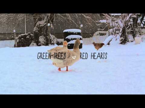 ;green trees + red ♥