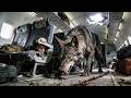 FULL Monster Movie Air Crash Survivors Face Mutant Giant Wolves Multi Sub
