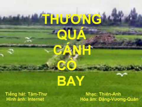 Thương quá cánh cò bay - Tâm Thư