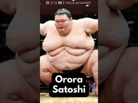 😱 World's heaviest Sumo wrestler ever? | TIRLA ACADEMY | #shorts #youtubeshorts