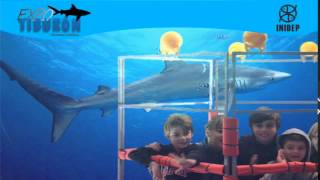 DIA 2 Expo Tiburon234