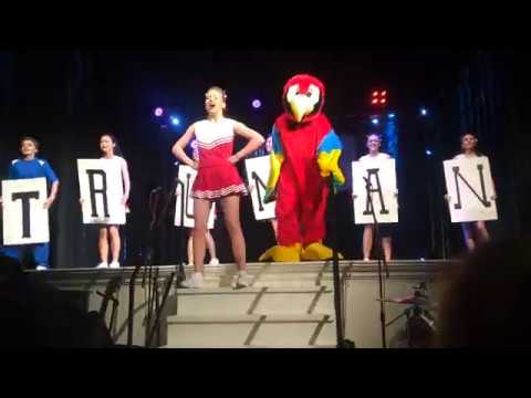 what i was born to do - bring it on