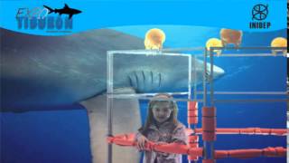 DIA 2 Expo Tiburon223