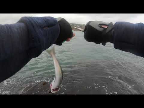 First Adventure of 2019