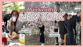 🌸 NYC in SPRING MODE: Jam-Packed 2-Day Travel Diary 뉴욕에서 꽉꽉채운 이틀 일정 | Crystall Cho