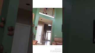 Download lagu Girl jumps off of stair rail mp3