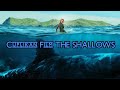 Cuplikan Film THE SHALLOWS