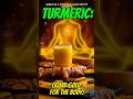 Turmeric The Golden Root That Heals from Within  Benefits and Uses