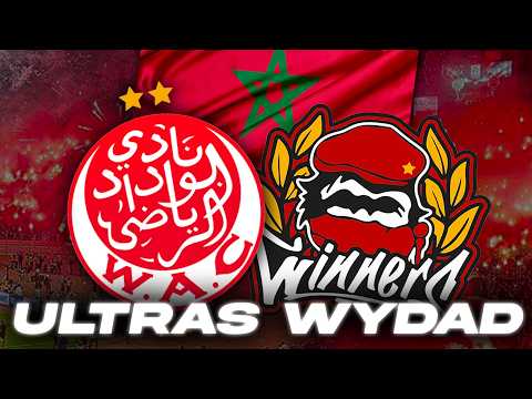 🇲🇦 L'INCROYABLE histoire des ultras du WYDAD CASABLANCA 🔥