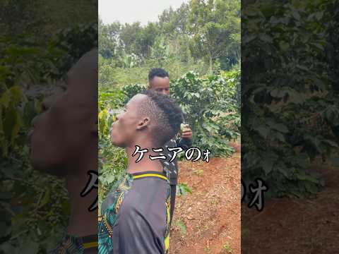 えっほえっほケニア７