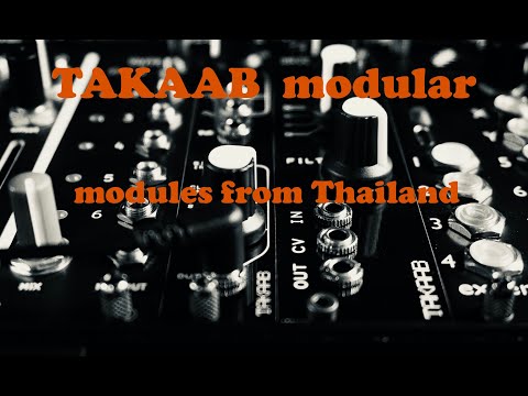 Takaab D308 Vintage Distortion Eurorack Synthesizer Module image 2