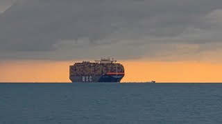 MSC Napoli Container Ship 03/01/2026