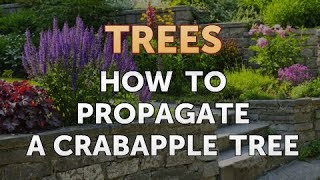How to Propagate a Crabapple Tree