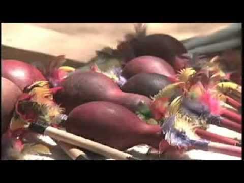 Kangwaá Tupi Guarani: Cantando para Nhanderu - 2014