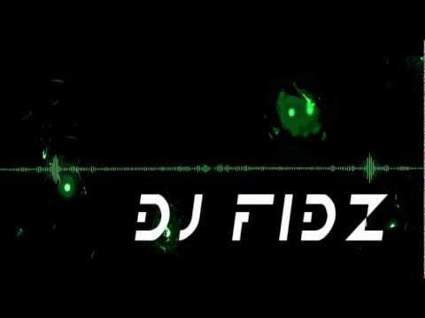DJ Fidz - Electro House Mix August 2012