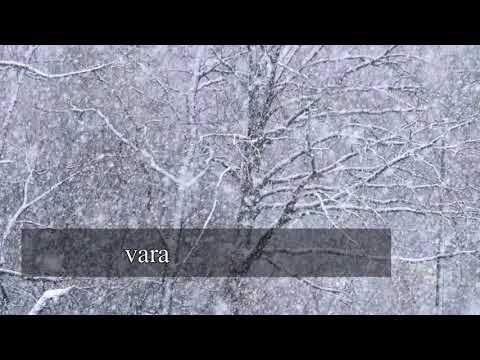 Szabó Lőrinc - Esik a hó