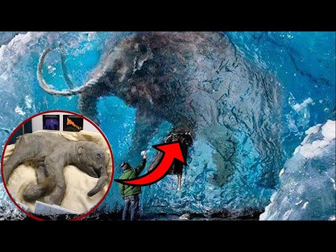 10 Most Well Preserved Discoveries Made Frozen In Ice! -Mystery Box