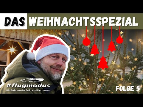 #flugmodus - Die Serie aus der Falknerei Herrmann, Folge 5 Das Weihnachtsspezial