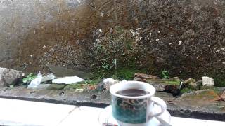 DONGENG SECANGKIR KOPI