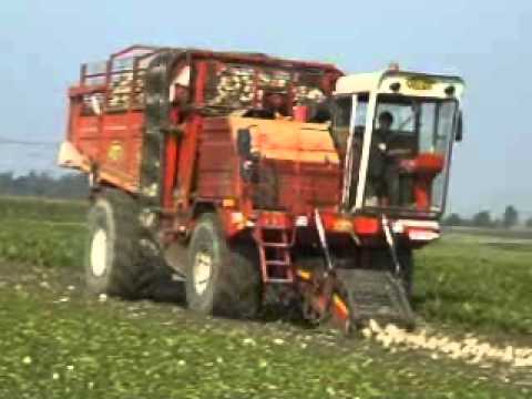 Goemaere (Polien): Bieten oprapen.