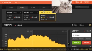 【FX】2万円負けたのでデモで練習して取り返す【BO】