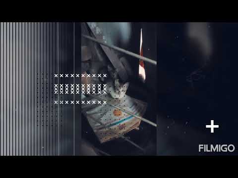 🌟కారుణ్య.గంజి,Cute Cats,పక్కనే వర్షం,కురుస్తున్నా,సహజసిద్ధమైన పరుపు.