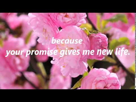 Bible Verse, Audio Bible Scripture Real Live Reading/Psalm 119 50.