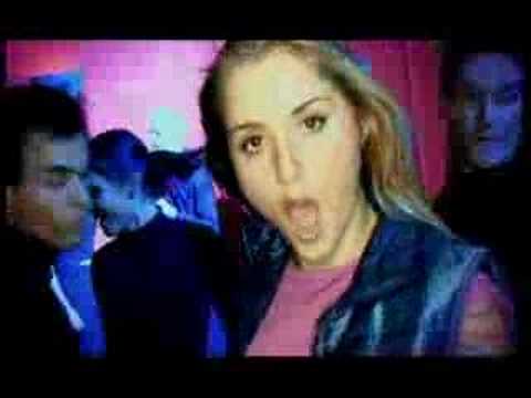 We B Cool Real Blondes