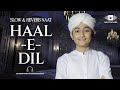 Haal E Dil Ghulam Mustafa Qadri Slowed Reverb Naat Revibe