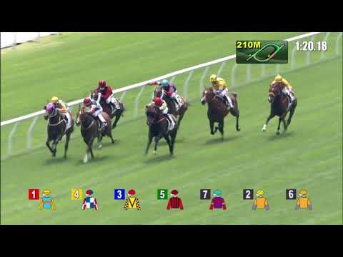 13/3/2021 (499) Ka Ying Star - Z Purton