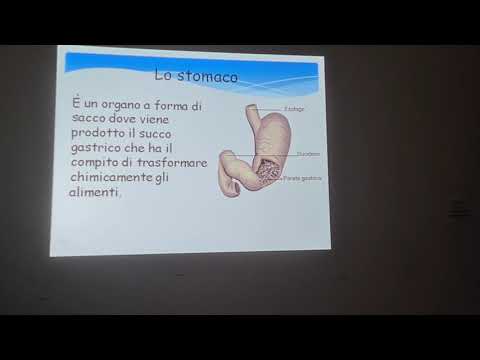 LEZIONE 2 SLIDE 1: "Apparato Digerente"