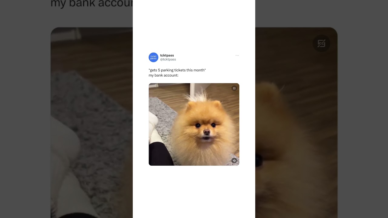 🗣️ Ehuhhhehuehueheuhehehheuhehuh #nycparking #parkingticket