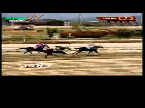 LA RINCONADA 7 CARRERA DOMINGO 4 DE MAYO DEL 2014