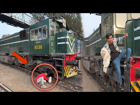 Train Ka Nicha Sy Cat Rescue Ki 😱