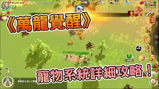 [攻略] 《萬龍覺醒》寵物系統完整攻略